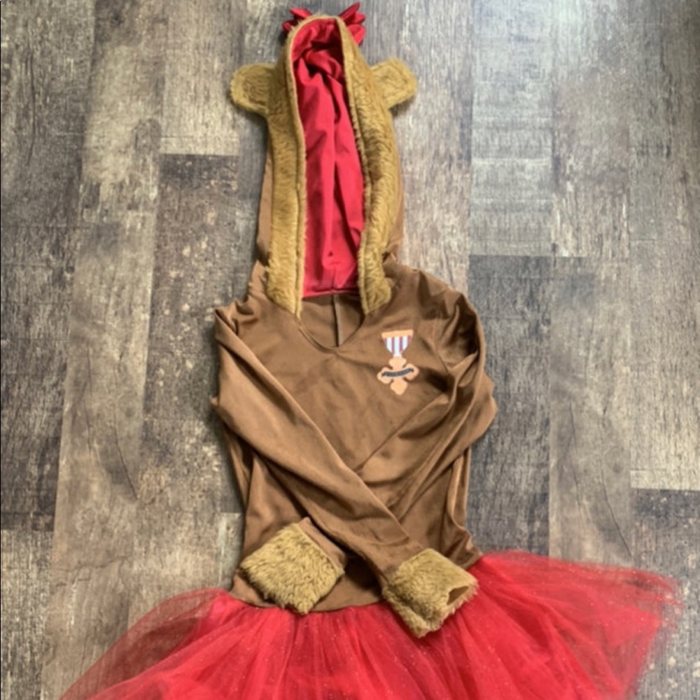 Wizard of Oz Cowardly Lion Costume
